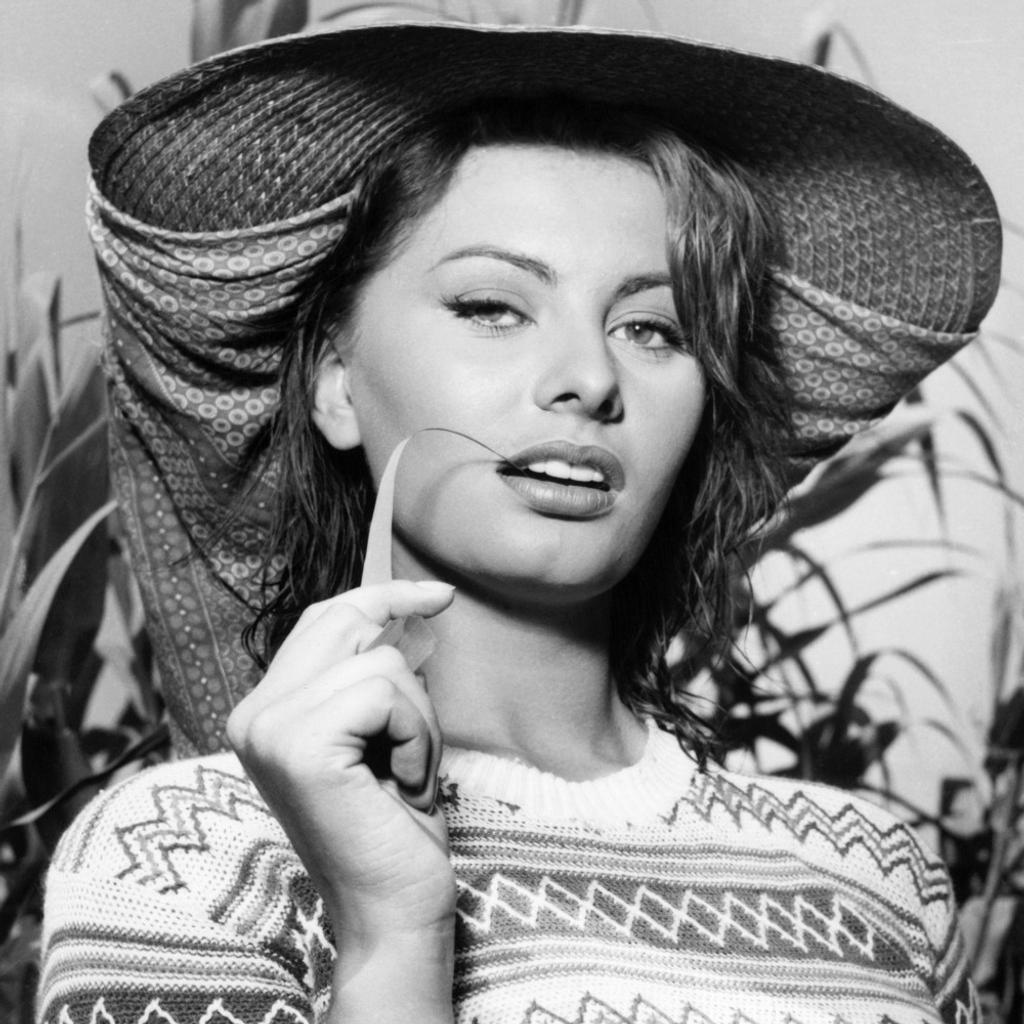 New Birth of Sophia Loren La Favorita