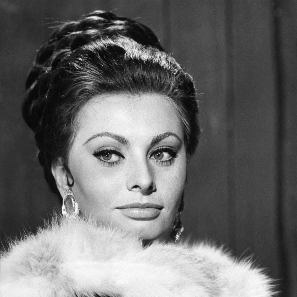Sophia Loren Italy United States Hollywood