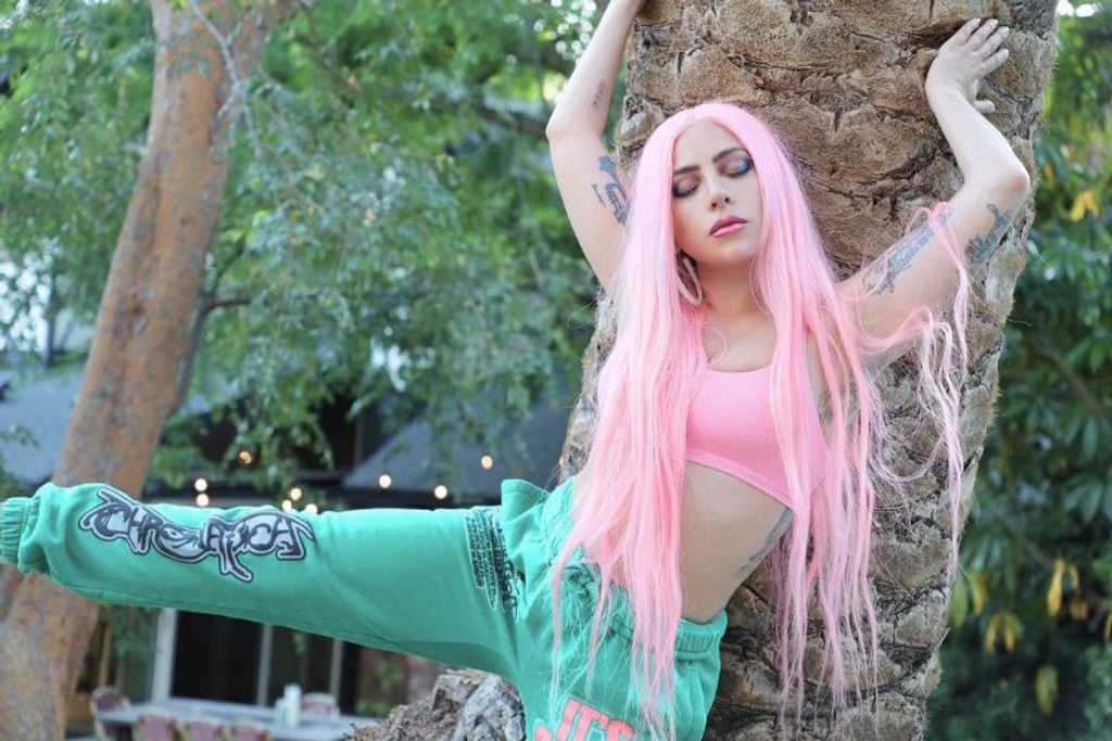 Lady Gaga Pink Hair