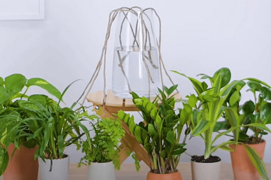 Rope Plants DIY Gardening