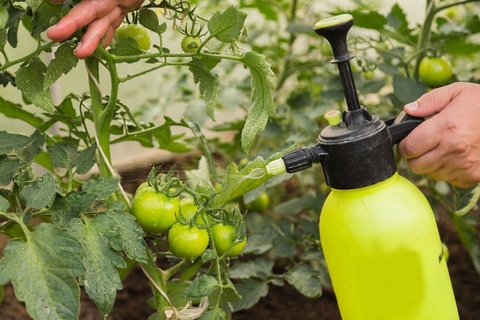 Insect Repellent DIY Gardening