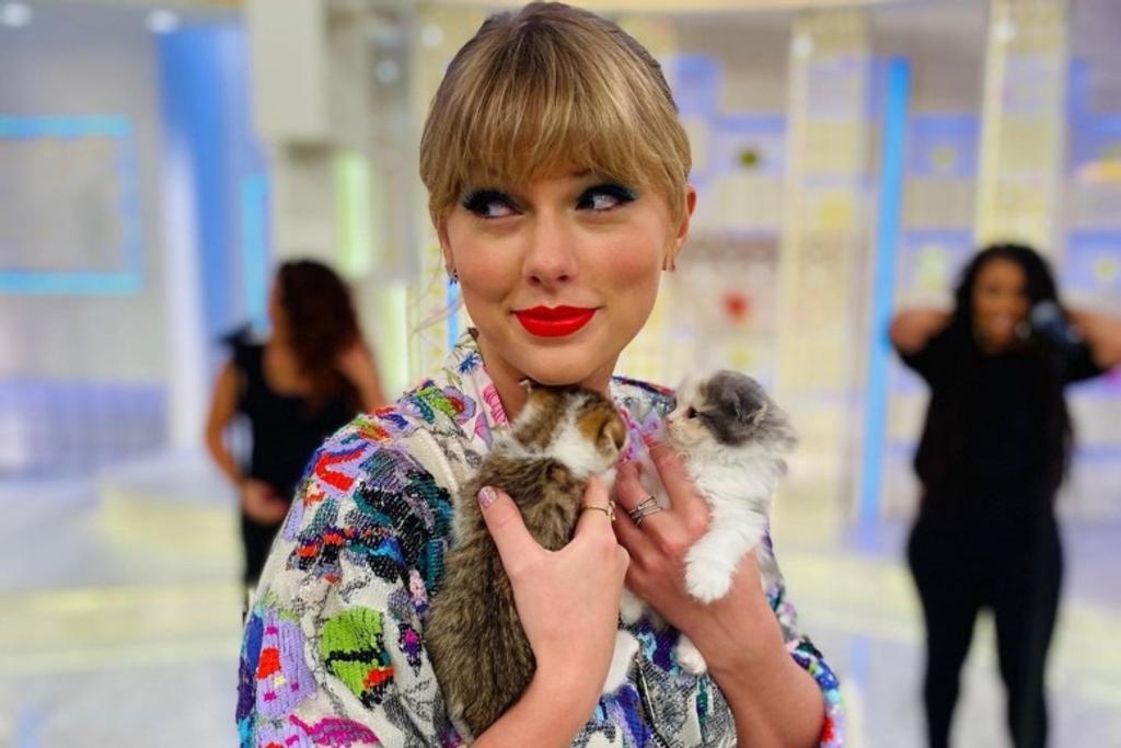 Taylor Swift Cats