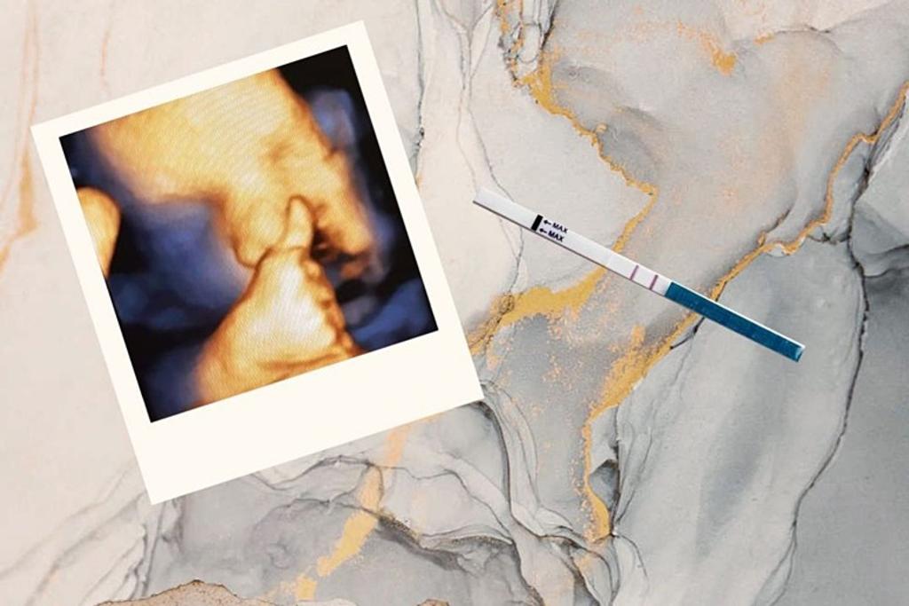 Surrogacy Oversight Christina Ozturk
