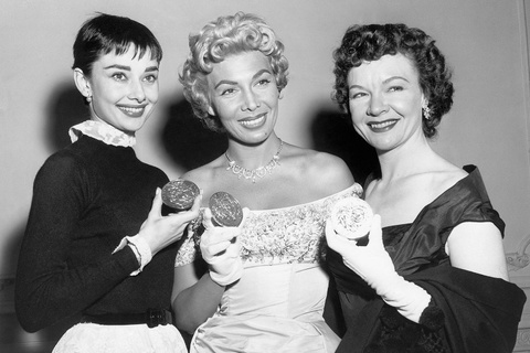 Audrey Hepburn awards, fame