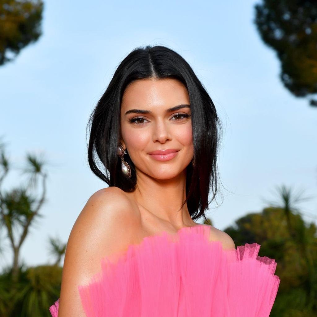 kendall jenner birthday party