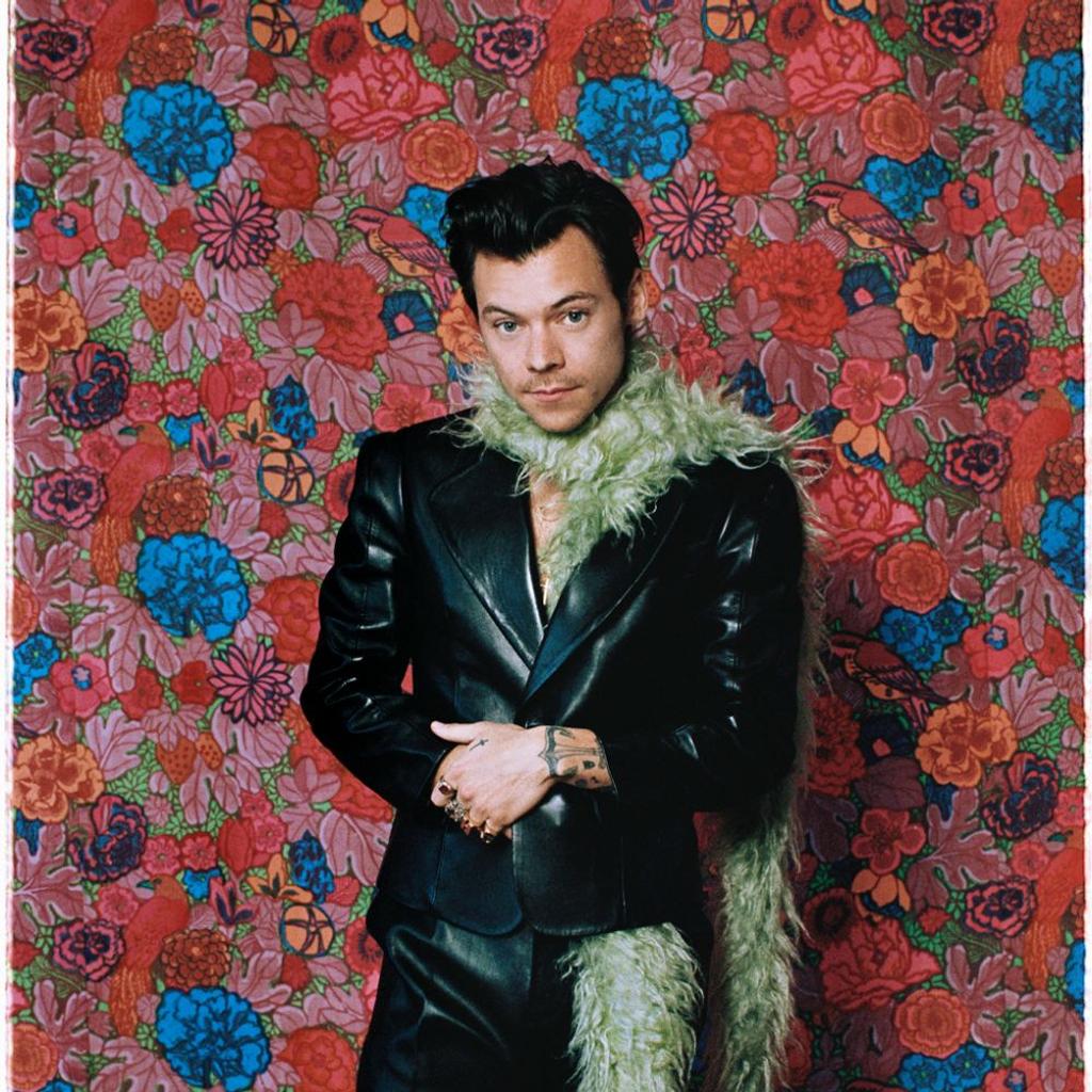 harry styles interview sexuality