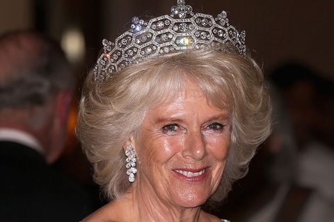 royal family duchess cornwall