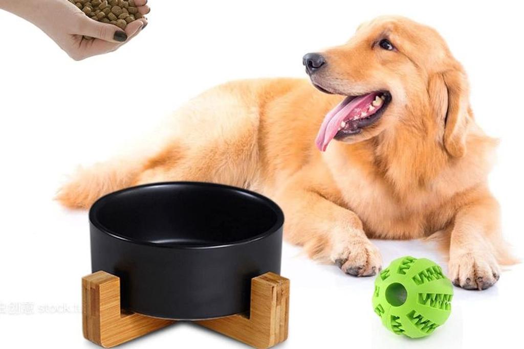 Petygooing Dog Bowls
