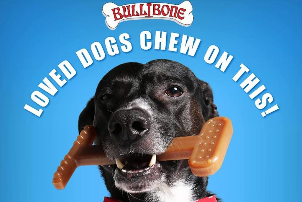 Bullibone Nylon Dog Chew Toy Nylon Bone