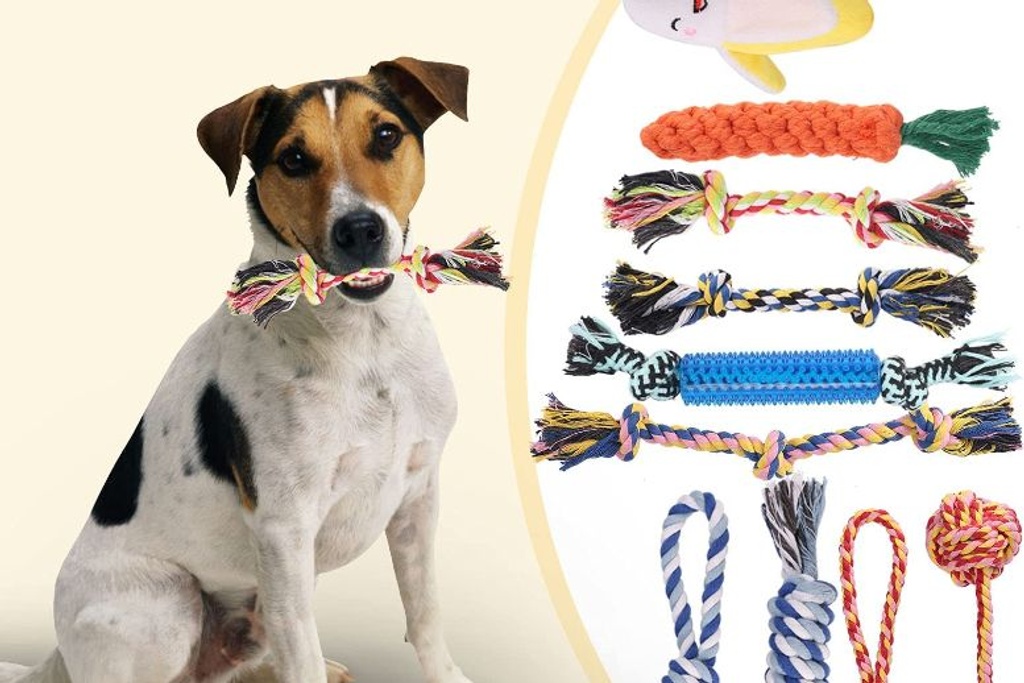 KIPRITII Dog Chew Toys for Puppy