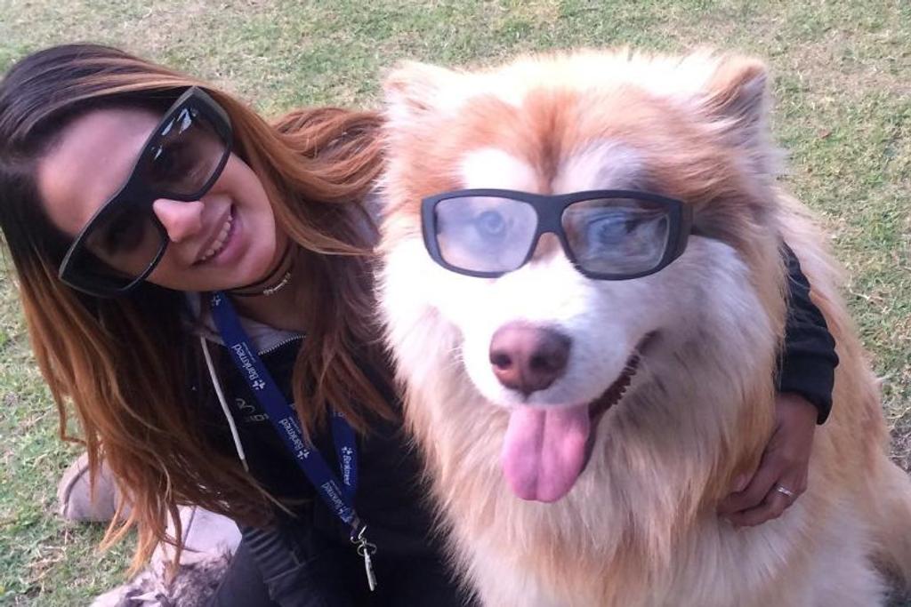 Instagram Pets Viral Dog
