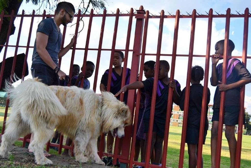 World's Largest Dog Viral