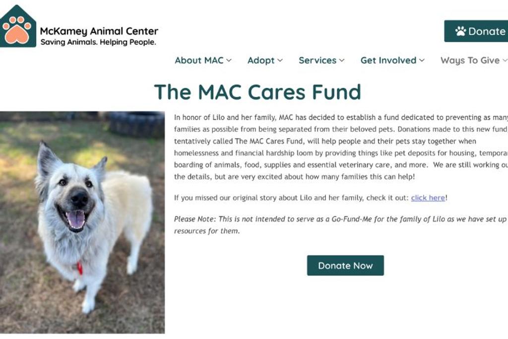 MAC Cares Fund Dog Lilo