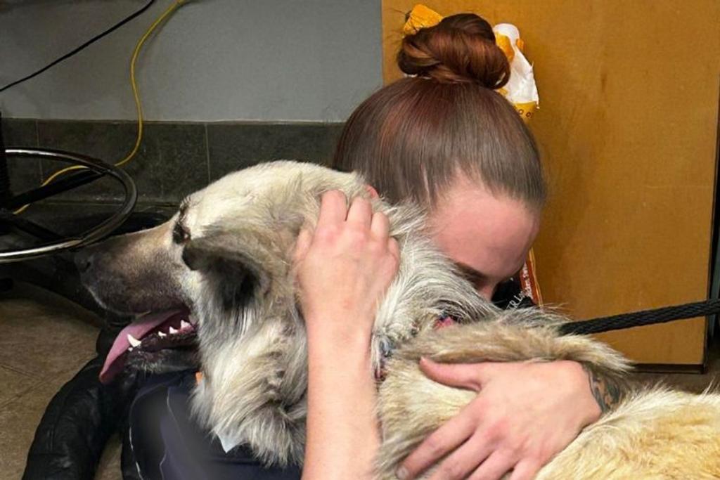 Homeless Dog Owner Reunion Viral