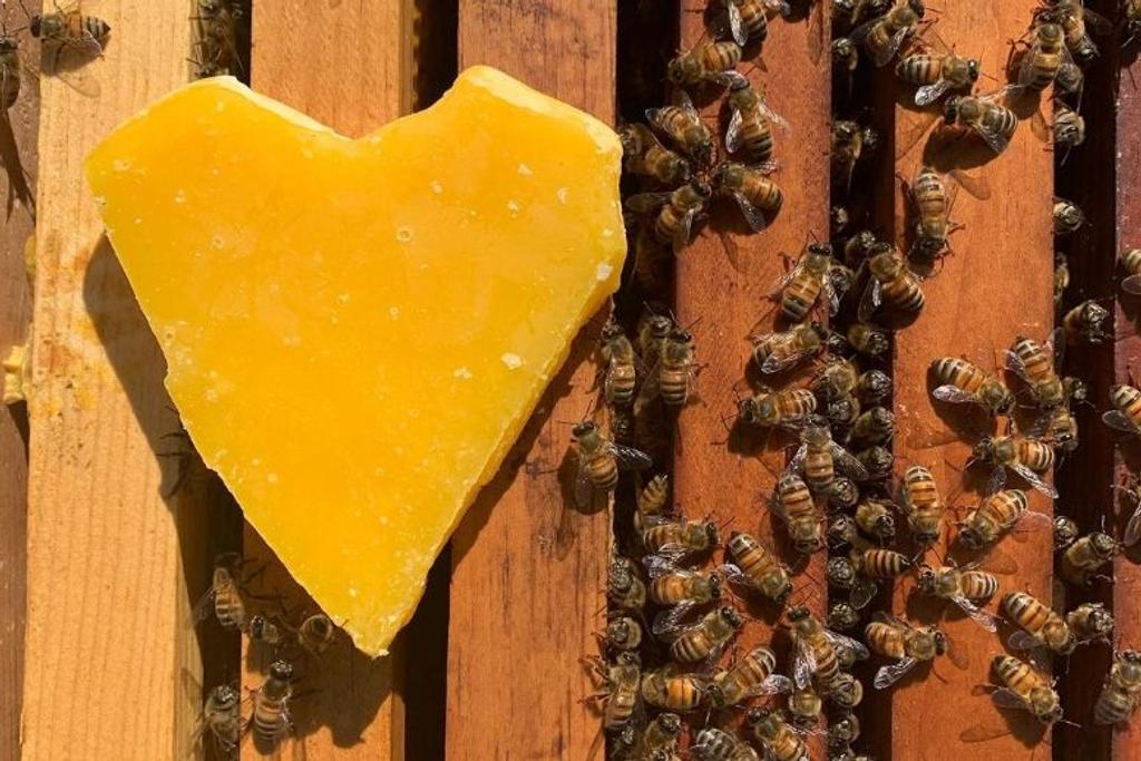 Beeswax Bees Houseplant Hack