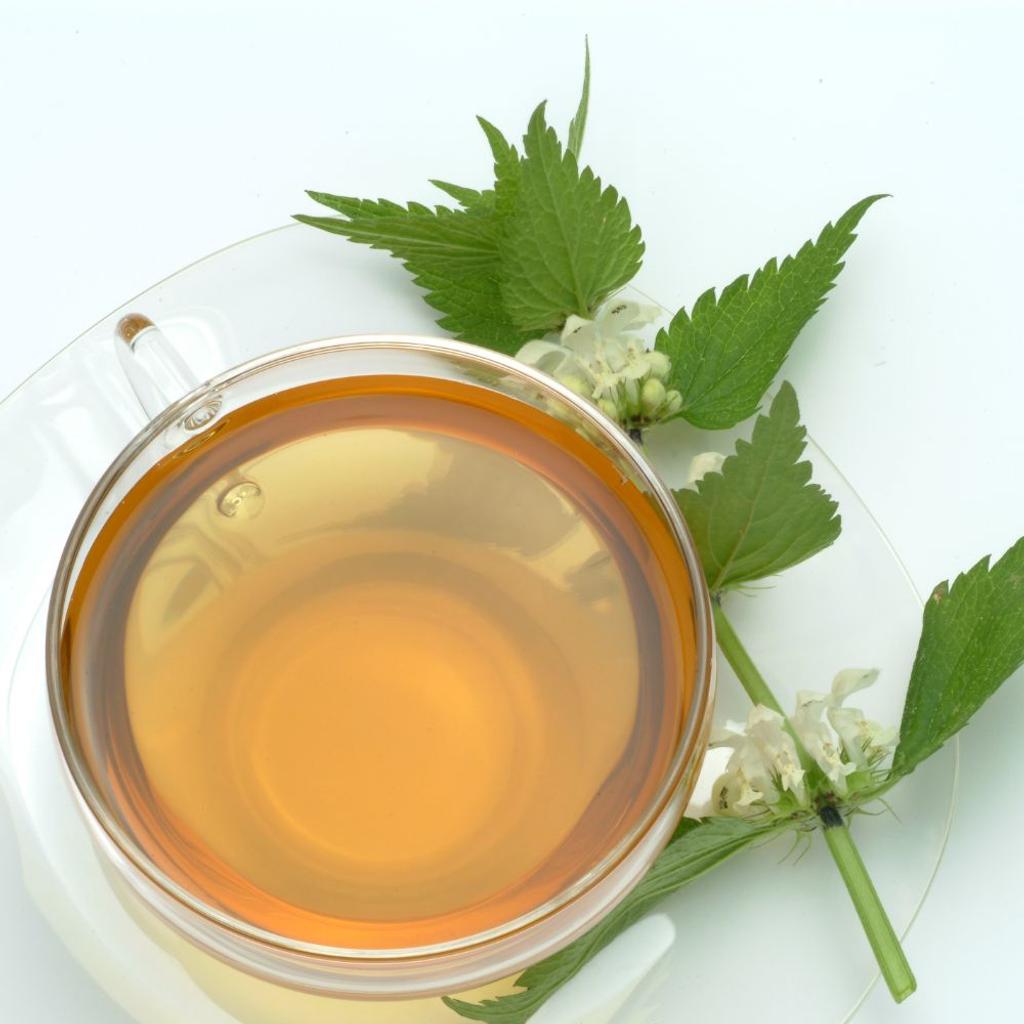 nettle tea health benefits