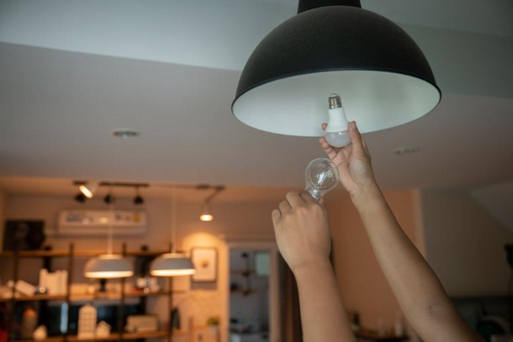 energy-efficient sustainable light bulbs