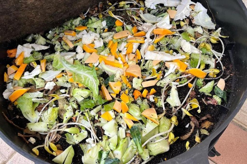 vegetable scraps Sustainable cooking